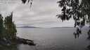 ./images/koeye/fitz-hugh/20260412/fitz-hugh20260412_124001M.jpg