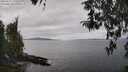 ./images/koeye/fitz-hugh/20260412/fitz-hugh20260412_125501M.jpg