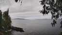 ./images/koeye/fitz-hugh/20260412/fitz-hugh20260412_130001M.jpg