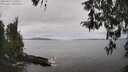 ./images/koeye/fitz-hugh/20260412/fitz-hugh20260412_131002M.jpg