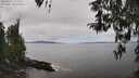 ./images/koeye/fitz-hugh/20260412/fitz-hugh20260412_131501M.jpg