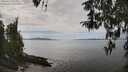 ./images/koeye/fitz-hugh/20260412/fitz-hugh20260412_134001M.jpg