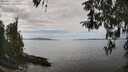 ./images/koeye/fitz-hugh/20260412/fitz-hugh20260412_134501M.jpg