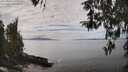./images/koeye/fitz-hugh/20260412/fitz-hugh20260412_140002M.jpg