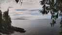./images/koeye/fitz-hugh/20260412/fitz-hugh20260412_141501M.jpg