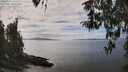 ./images/koeye/fitz-hugh/20260412/fitz-hugh20260412_142001M.jpg