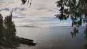 ./images/koeye/fitz-hugh/20260412/fitz-hugh20260412_142501M.jpg