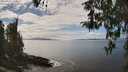 ./images/koeye/fitz-hugh/20260412/fitz-hugh20260412_143001M.jpg