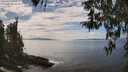 ./images/koeye/fitz-hugh/20260412/fitz-hugh20260412_143501M.jpg