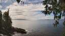 ./images/koeye/fitz-hugh/20260412/fitz-hugh20260412_144001M.jpg