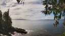 ./images/koeye/fitz-hugh/20260412/fitz-hugh20260412_144501M.jpg