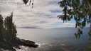 ./images/koeye/fitz-hugh/20260412/fitz-hugh20260412_145001M.jpg
