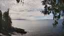./images/koeye/fitz-hugh/20260412/fitz-hugh20260412_151001M.jpg