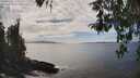 ./images/koeye/fitz-hugh/20260412/fitz-hugh20260412_152502M.jpg