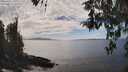 ./images/koeye/fitz-hugh/20260412/fitz-hugh20260412_153002M.jpg