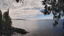 ./images/koeye/fitz-hugh/20260412/fitz-hugh20260412_153501M.jpg