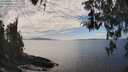 ./images/koeye/fitz-hugh/20260412/fitz-hugh20260412_154002M.jpg