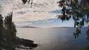 ./images/koeye/fitz-hugh/20260412/fitz-hugh20260412_154501M.jpg