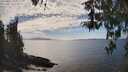 ./images/koeye/fitz-hugh/20260412/fitz-hugh20260412_155001M.jpg