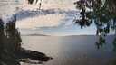 ./images/koeye/fitz-hugh/20260412/fitz-hugh20260412_155501M.jpg