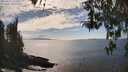 ./images/koeye/fitz-hugh/20260412/fitz-hugh20260412_160002M.jpg