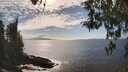 ./images/koeye/fitz-hugh/20260412/fitz-hugh20260412_160501M.jpg