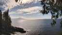 ./images/koeye/fitz-hugh/20260412/fitz-hugh20260412_161002M.jpg
