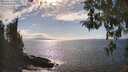 ./images/koeye/fitz-hugh/20260412/fitz-hugh20260412_162001M.jpg