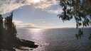 ./images/koeye/fitz-hugh/20260412/fitz-hugh20260412_162502M.jpg
