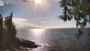 ./images/koeye/fitz-hugh/20260412/fitz-hugh20260412_163501M.jpg