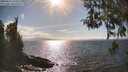 ./images/koeye/fitz-hugh/20260412/fitz-hugh20260412_164001M.jpg