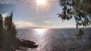 ./images/koeye/fitz-hugh/20260412/fitz-hugh20260412_164501M.jpg