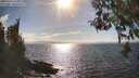 ./images/koeye/fitz-hugh/20260412/fitz-hugh20260412_165001M.jpg