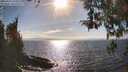 ./images/koeye/fitz-hugh/20260412/fitz-hugh20260412_165501M.jpg