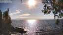./images/koeye/fitz-hugh/20260412/fitz-hugh20260412_171001M.jpg