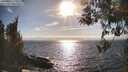 ./images/koeye/fitz-hugh/20260412/fitz-hugh20260412_172501M.jpg
