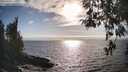 ./images/koeye/fitz-hugh/20260412/fitz-hugh20260412_174001M.jpg