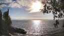 ./images/koeye/fitz-hugh/20260412/fitz-hugh20260412_174501M.jpg