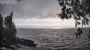 ./images/koeye/fitz-hugh/20260412/fitz-hugh20260412_182001M.jpg