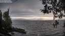 ./images/koeye/fitz-hugh/20260412/fitz-hugh20260412_184501M.jpg
