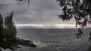 ./images/koeye/fitz-hugh/20260412/fitz-hugh20260412_185002M.jpg
