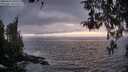 ./images/koeye/fitz-hugh/20260412/fitz-hugh20260412_202001M.jpg