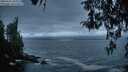 ./images/koeye/fitz-hugh/20260412/fitz-hugh20260412_204001M.jpg
