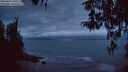 ./images/koeye/fitz-hugh/20260412/fitz-hugh20260412_205501M.jpg