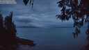 ./images/koeye/fitz-hugh/20260413/fitz-hugh20260413_061001M.jpg