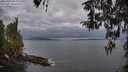 ./images/koeye/fitz-hugh/20260413/fitz-hugh20260413_065001M.jpg