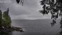 ./images/koeye/fitz-hugh/20260413/fitz-hugh20260413_074001M.jpg
