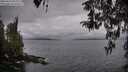 ./images/koeye/fitz-hugh/20260413/fitz-hugh20260413_082001M.jpg
