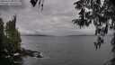 ./images/koeye/fitz-hugh/20260413/fitz-hugh20260413_083001M.jpg