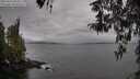 ./images/koeye/fitz-hugh/20260413/fitz-hugh20260413_083501M.jpg